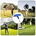 Quilax Golf Torque Wrench Tool，Stainless Steel Golf Driver Tool with Plastic Handle，Portable Golfball Club Wrench Tools, Golfball Driver Shaft Adapter Torque Equipment(T20,Blue)