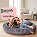 Wahre Tierliebe Orthopädisches Hundebett Deluxe für Kleine bis Große Hunde - Made in Germany - Waschbar & Formstabil - Flauschiges Hundekörbchen mit Hohem Rand für Sicherheit & Geborgenheit
