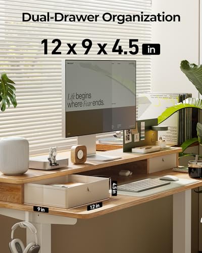 Image of FEZIBO 48 x 24 Inch Height Adjustable Electric Standing Desk with Double Drawer, Stand up Home Office Computer Desk with 4 Height-Adjustable Feets & 2 Hooks,Maple