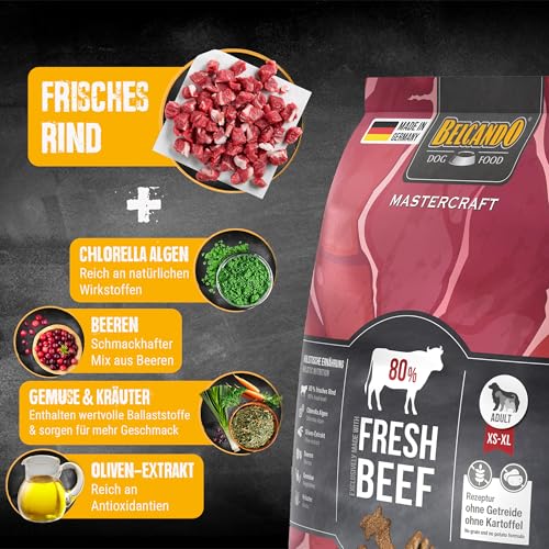 BELCANDO MASTERCRAFT Hundefutter trocken Fresh Beef, 500g, Trockenfutter für Hunde mit Rind, 80% Frischfleisch, getreidefrei, für alle Rassen, Made in Germany