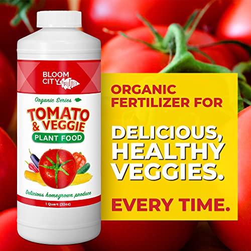 Tomato & Veggie Plant Food for Delicious Homegrown Produce by Bloom City, Quart (32 oz) - Thumbnail 2