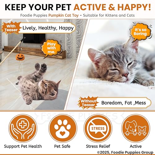Image of Foodie Puppies Cat Teaser Playing Wooden Stick Halloween Plush Toy (Pumpkin, 41cm) for Cats and Kittens | Interactive Bell Hanging Wood Wand | Fun Teasing, Catching, Chasing and Bonding Play