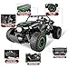 BEZGAR TB142 Remote Control Car - 1:14 Scale RC Cars, 20 Km/h 2WD All-Terrains Electric Off-Road Vehicle Truck Crawler Toy with Two Rechargeable Batteries for Boys Kids and Adults