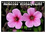  Madeiras Blütenpracht (Tischkalender 2024 DIN A5 quer), CALVENDO Monatskalender: Blütenpracht auf der Blumeninsel Madeira