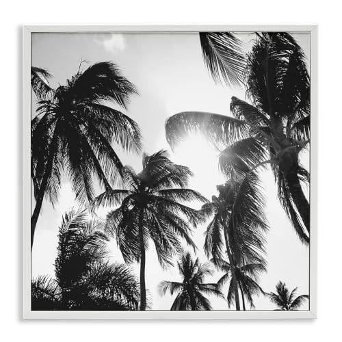 Sunlit Palm Tree Coastal Photography, 12 x 12 Inch Framed Giclée Print