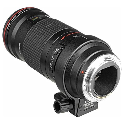 Canon 180mm f/3.5 L Macro Lens