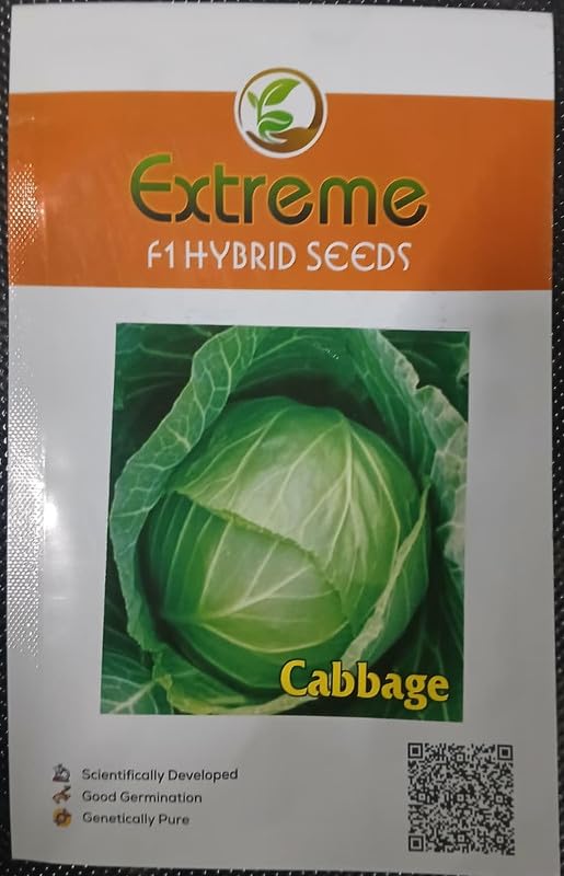 EXTREME SEEDS Fresh Organic Cauliflower Head – Non-GMO, Whole, Farm Grown, Crisp & Tender, Ideal for Cooking, Roasting, Keto & Paleo Diets in Fiber & Vitamins – Vegan, Gluten-Free, USA Grown Produce-picture-39