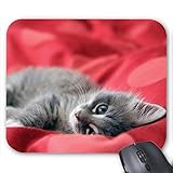 Tapis de Souris Imprimé - Animaux - Chat- Personnalisez Votre Espace de Travail - Design Unique et Haute Qualité - Cadeau - France (N°2)