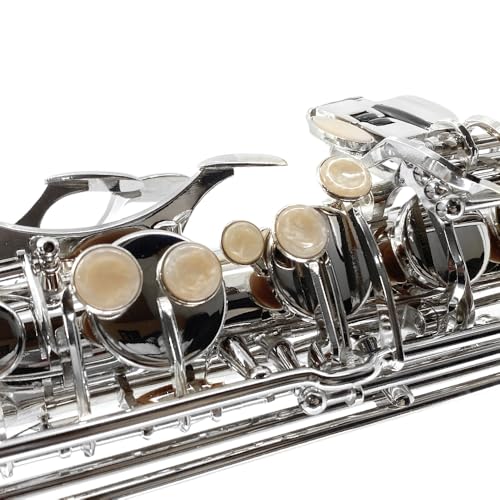 Image of Tenor Saxophone B flat, Silver Lacquer with Carrying Case,Mouthpiece,Reeds,Cleaning Kit,Tenor Sax for Beginners, Students and Musicians