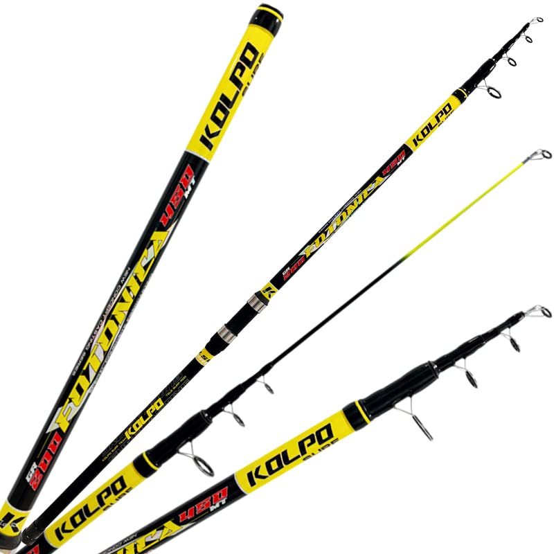 Bolognese canna da pesca DAIWA - pesca in vendita a Bari