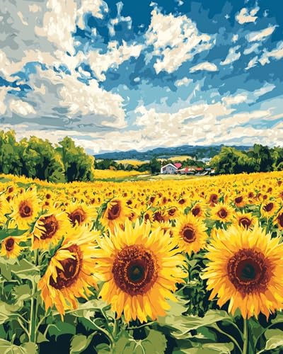 i ,Ђ܂蔨,?? z㐬lp ? Diy H? ? ٞy ? ?NXI畨 Ƌ ??,40x50cm,?؞y