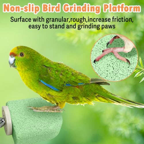 Image of PINVNBY 4 PCS Bird Perch Stands Parrot Calcium Perch Beak Grinding Stone Foot Claws Trimmer Parakeet Platform Parrot Chewing Toys for Small Medium Cockatiel Conure Lovebird Finch(Green)