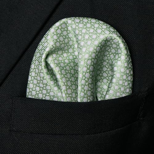 Image of RBOCOTT Silk Stripe Plaid Tie and Pocket Square with Tie Clip Sets for Men