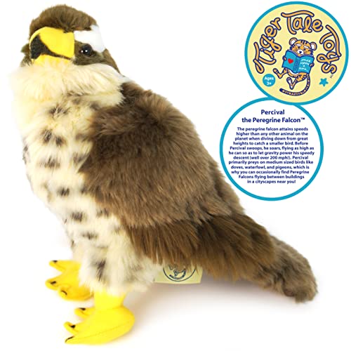 Viahart Percival The Peregrine Falcon - 9 Inch Stuffed Animal Plush - By Tiger Tale Toys #TOP2