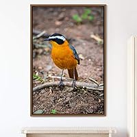 Framed Canvas Wall Art Single Bird Birds Expressive Farmhouse/Country Multicolor Photography Portrait Single - 16x24 inches