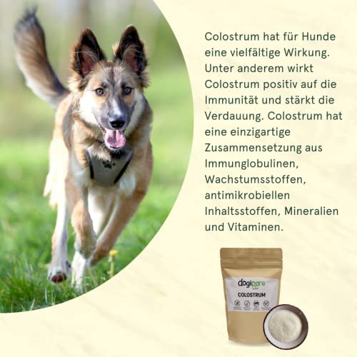 dogicare Colostrum Hund & Katze - 100% reines Colostrum Pulver - Kolostrum Extrakt unterstützt Abwehrkräfte & Magen-Darm-Trakt - Immunglobuline, Mineralien, Vitamine für Hunde & Katzen