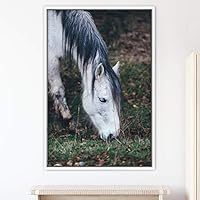Framed Canvas Wall Art Horse Animals Dramatic Farmhouse/Country Horse Living Room Multicolor Photography - 16x24 inches