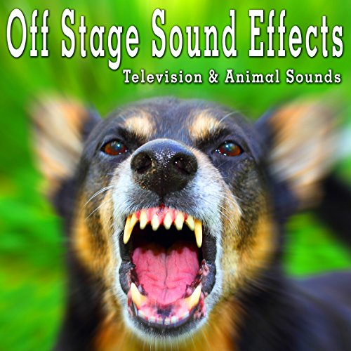 Off Stage Sound Effects Television & Animal Sounds The Hollywood Edge Sound