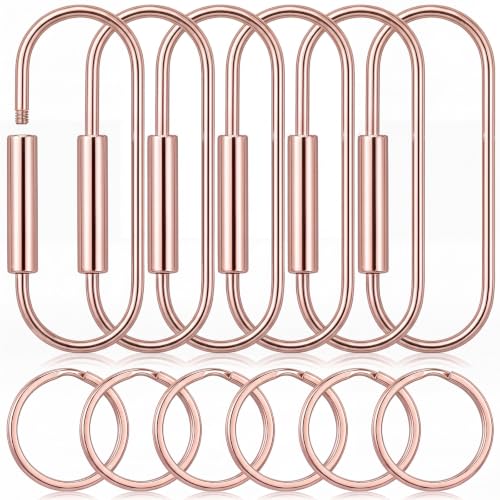 Image of WILLBOND Brass Carabiner Key Ring Locking Screw Carabiner Clips Round Key Rings Keychain Kit for Handbags Purse Bag Charm