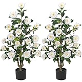TreeTrip Artificial Camellia Tree 3.3 FT 2 Pack, Christmas Decor Fake Camellia Plant with Blooming Flowers&Natural Wood Trunk, Greenery Faux Potted Plant for Home Office Winter Indoor (White, 3.3FT)