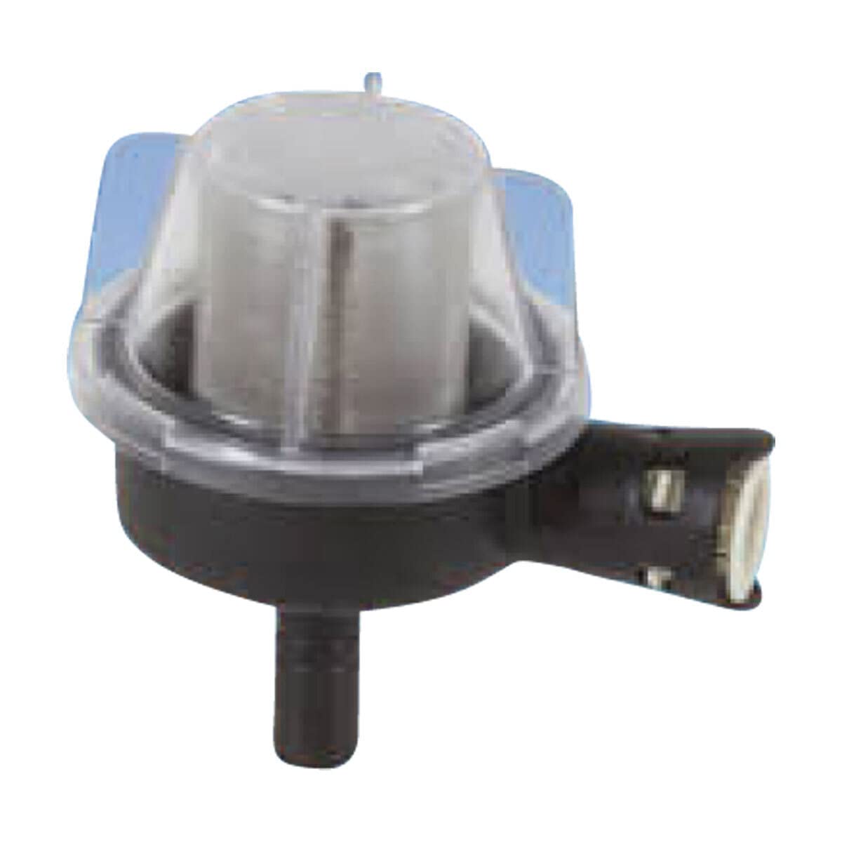 Whale Strainer AK1320