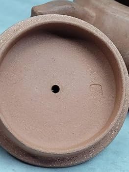 Amazon.co.jp: 宜興窯 紫砂茶壷 在銘 煎茶道具 浙甯玉成窯造款