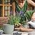 Whonline Plastic Planter