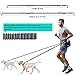 SHINE HAI Retractable Hands Free Dog Leash with Dual Bungees for Dogs, Adjustable Waist Belt Bag, Reflective Stitching Leash for Running Walking Hiking Jogging Biking (for 1 Dog)