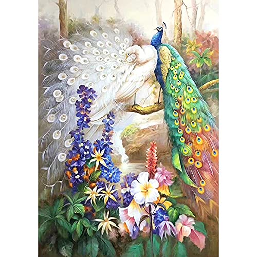 Kits de Diamant Peinture 5D grand format cadeau idéal mosaïque adulte de paon