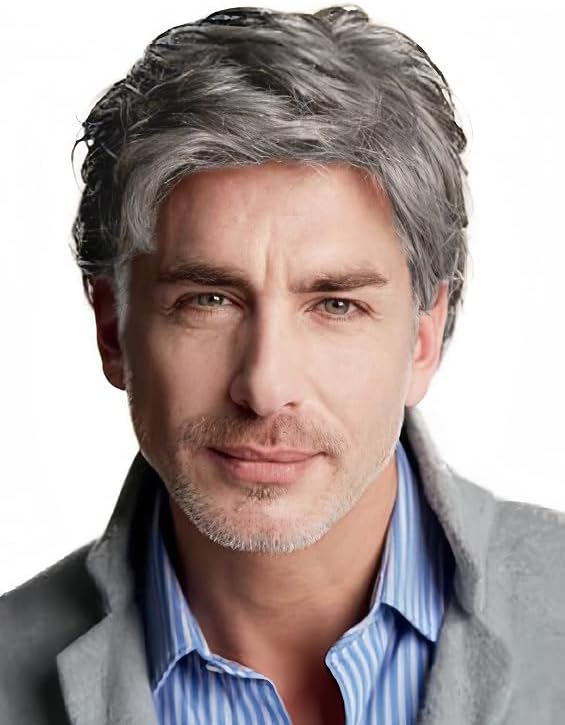 Grey Short Wigs for Men Natural Layered Synthetic Hair Wig Realistic Heat Resistant Male Daily Cap Wig