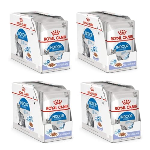 Royal Canin Indoor Sterilised in Gelee | 4er Pack | 4 x 12 x 85 g | Alleinfuttermittel für ausgewachsene Katzen die im Haus Leben | Für sterilisierte Katzen | Häppchen in Gelee