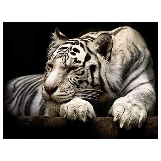 LHZBB 5D DIY Diamantmalerei Schlafende Tiger Tiere Runder Diamant Kristall Strass Diamant Klisteretikett för Handarbete Diamant Mosaik