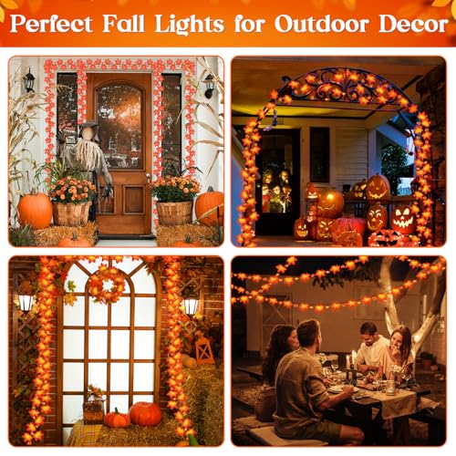 Reyeeinc RY24025 Fall Solar Lights Outdoor Decorative thumb #6