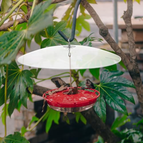Cubierta transparente para comederos de pájaros que evita comida mojada en el jardín 5