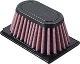 DNA High Performance Air Filter Compatible with G650 (07-09) PN: R-BM6E09-01