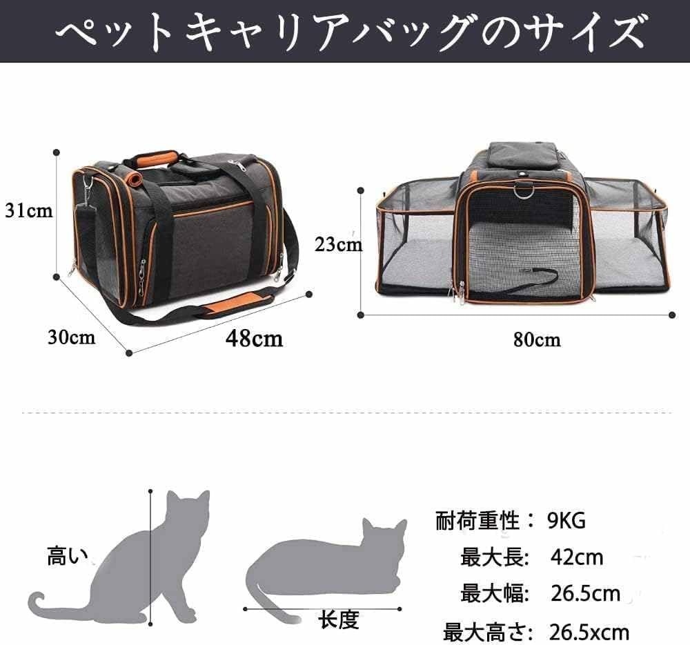 陰陽座ファンクラブ会報 シ*ン様 陰陽座 直筆サイン 初期 非売品CD