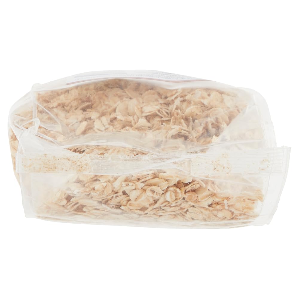 Italian Gourmet Náttúra Italian Gourmet Fiocchi di Avena Integrali BIO 12 x | Da agricoltura biologica, aus kontrolliertem Anbau, ideale per colazione, Gesamtnettogewicht 6 kg + Kostenlos Polpa 400g