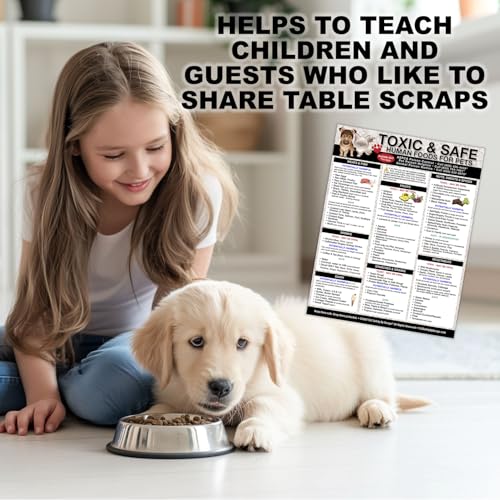 Lista magnética seguridad alimentos tóxicos para mascotas miniatura 4