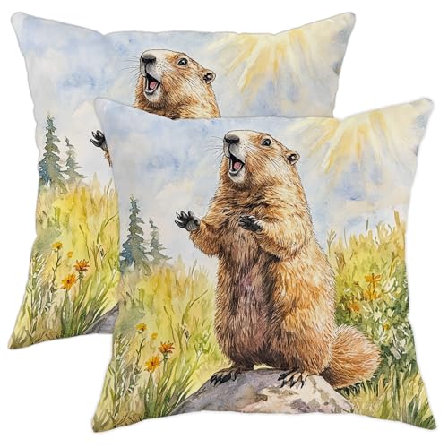 Lot de 2 housses de coussin décoratives en forme de marmotte mignonne avec scène naturelle, pour décoration extérieure saisonnière pour maison, canapé,...