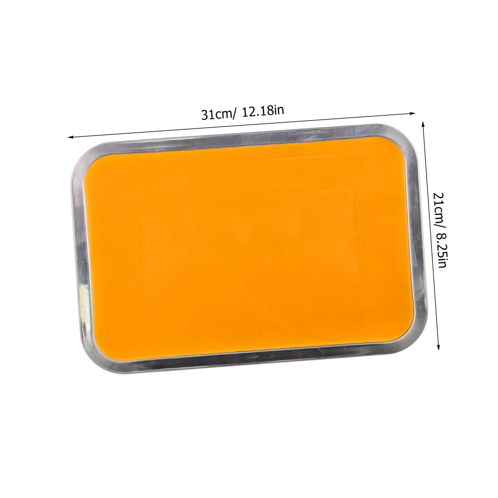 PRETYZOOM Plateau Acier Inoxydable pour Laboratoire avec Cire Utilisation pour Dissection Anatomique