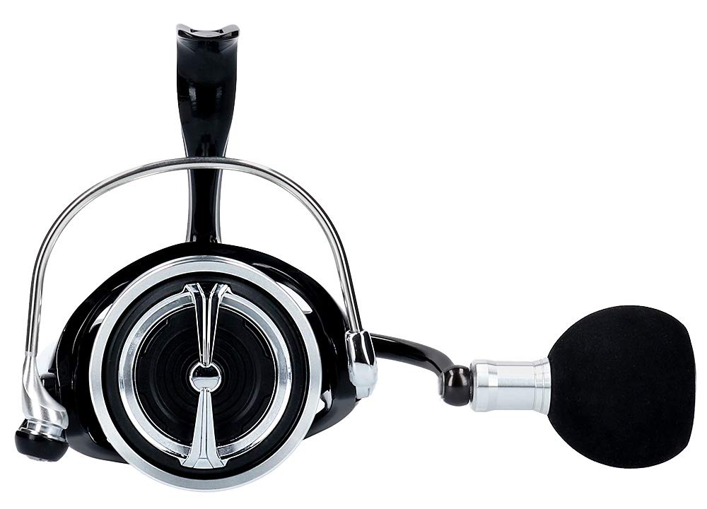 Daiwa LT5000D-CXH Spinning Reel 19 Regza (2019 Model) : Amazon.com