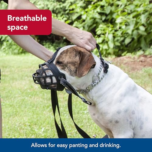 Coastal Pet Soft Basket Muzzle - Custom-Fit for Comfort - Indoor & Outdoor Dog Accessory - Adjustable Strap - Flexible Silicone - Allows Panting & Drinking - Black, 02