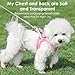 Hundegeschirr,Welpengeschirr Kleine Hunde,Hundegeschirr Welpen Kleine Hunde,Welpengeschirr,Brustgeschirr Hund,Welpen Geschirr Hund,Reflektierend (Rosa,XS)