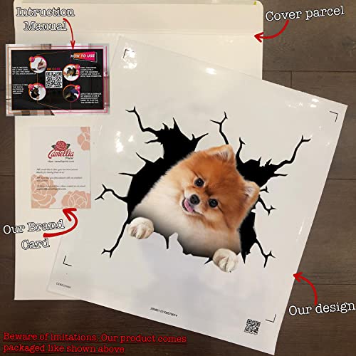 Pomeranian Stickers Decals Pomeranian Dog Gifts Funny Warning Car Sticker for New Driver 3D Trucking Aufkleber