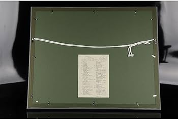 真作保証 Mr. どこにも行かないで オフセット 直筆サイン 限定300 絵画 Amazon.co.jp: [ギャラ藤真作保証/直筆サイン/牧野宗則『華の風