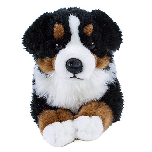 unbekannt Kuscheltier Berner Sennenhund 38 cm liegend schwarz/braun/weiß Plüschhund Uni Toys