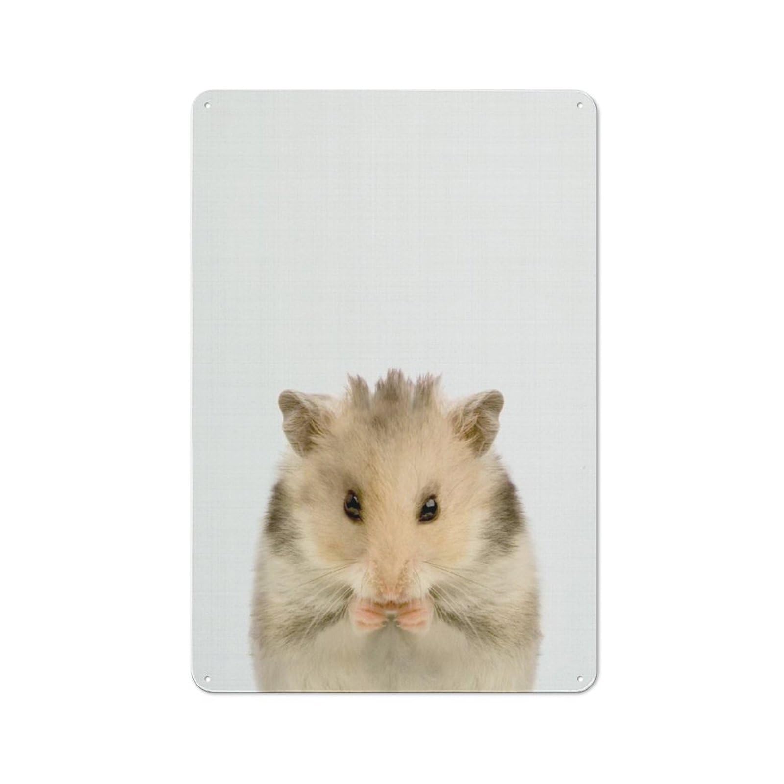Smart Hamster Office Metal Sign 30x20cm, Study Room Decor for Home Office, Reading Corner Or Bedroom