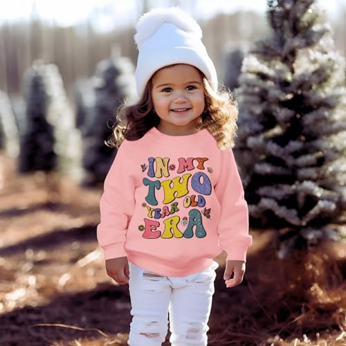 BOUTIKOME In My One-Five Years Old Era Sweatshirt Toddler Baby Girl 1st 2nd 3rd 4th 5th Birthday Outfit Shirt Party Pullover2