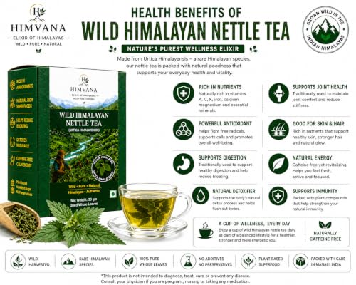 Image of Wild Himalayan Nettle Slimming Tea. Rare Herb Urtica Himalayensis. Visible Whole Leaves Premium Herbal Tea. Rich and Velvety Taste. Rich in Antioxidants, Vitamins & Minerals. Traditionally used for Pain Relief, Detox as well in Himalayan Food Recipes. Grows only in High Altitude in Himalayas (30 Gm, Starter Pack)
