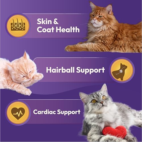 Image of DatGud Adult Dry Cat Food, Chicken & Wild Fish with Antarctic Krill, 2 kg (1 kg + 1 kg Free) | Complete & Balanced Nutrition | Antioxidants for Immunity | Taurine for Heart & Vision | Easy to Digest